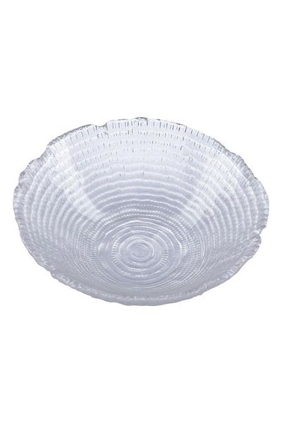 ALSAIF Glass Plate 5.4 X 14.5 Cm Deep Transparent
