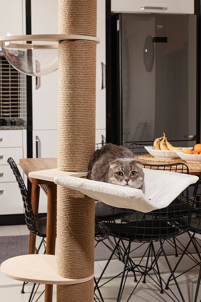 RAIKOU Robin 265 cm High Cat Scratching Tree - Oak Wood, Balcony and Space Capsule
