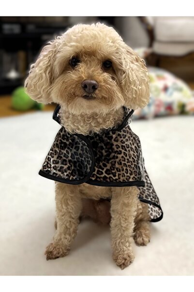 Butik Wooftailor Köpek Yağmurluğu