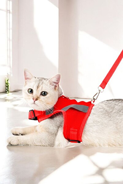 Evene Kedi Tasması Göğüs Boyun Tasma Seti Sevk Kayışlı Terletmeyen Nefes Alan Reflektörlü Tasma L Kırmızı