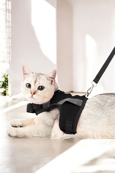 Evene Kedi Tasması Göğüs Boyun Tasma Seti Sevk Kayışlı Terletmeyen Nefes Alan Reflektörlü Tasma M Siyah