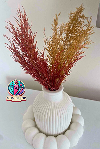 Bernami Bubble Plate and Pampas Vase Decorative Set