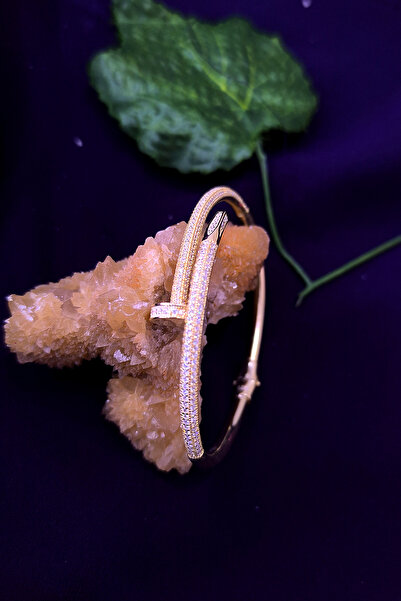 Agai Silver Çivi Model Altın Kaplama 925 Ayar Gümüş Bilezik