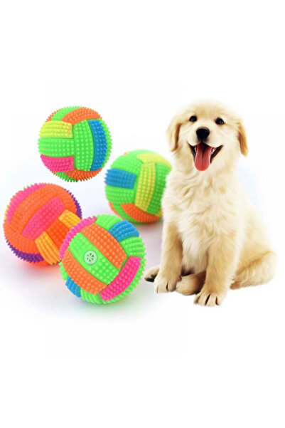 ithalattan Renkli Işıklı Diş Kaşıma ve Oyun Topu – Küçük ve Orta Irk Köpekler İçin