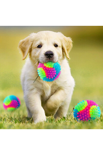 ithalattan Renkli Işıklı Diş Kaşıma ve Oyun Topu – Küçük ve Orta Irk Köpekler İçin