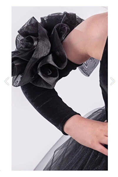 Sare Çocuk Giyim Fluffy Girl's Princess Evening Dress with Rose Sleeves Back Stripe Detail, Stylish Special Occasion Dress