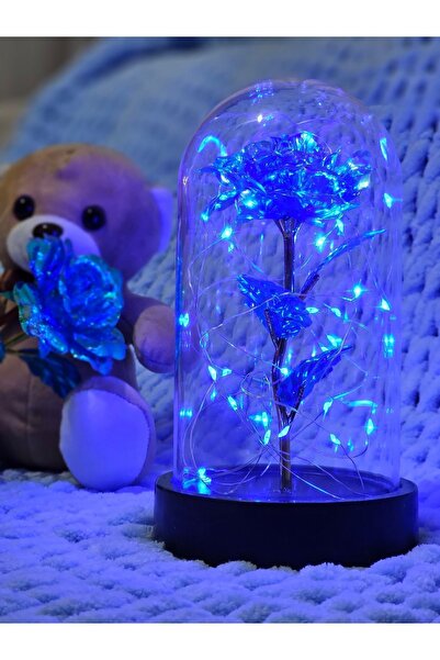 ALSHOP Sevgililer Günü Mavi Peri Led Işıklı Solmayan Sonsuzluk Gülü Fanuslu G...