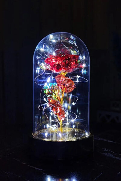 ALSHOP Gold Tabanlı Beyaz Led Işıklı Sevgililer Günü Solmayan Sonsuzluk Gülü ...