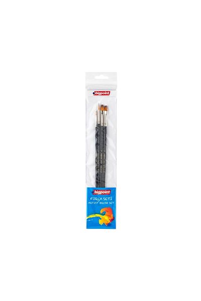 Bigpoint Set of 200 Series Synthetic Brushes - 4Pcs, Round and Flat Cut End, Cat Tongue