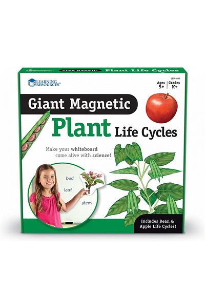 Learning Resources Giant Magnetic Plant Life Cycle-LER6045