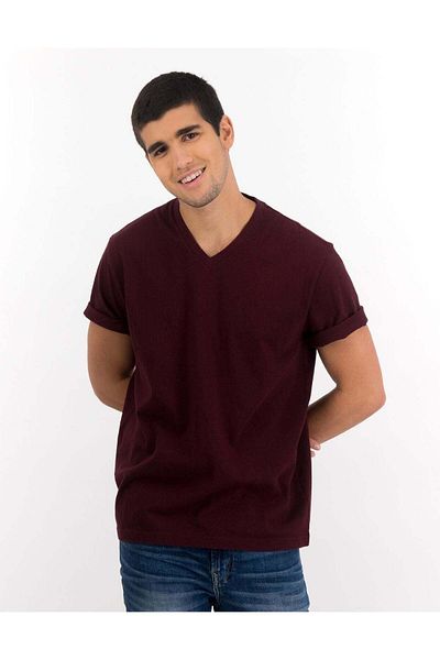 AMERICAN EAGLE AE Super Soft Icon V-Neck T-Shirt