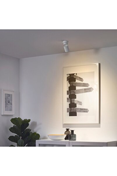 erorex Ceiling spotlight with 1 spot, white