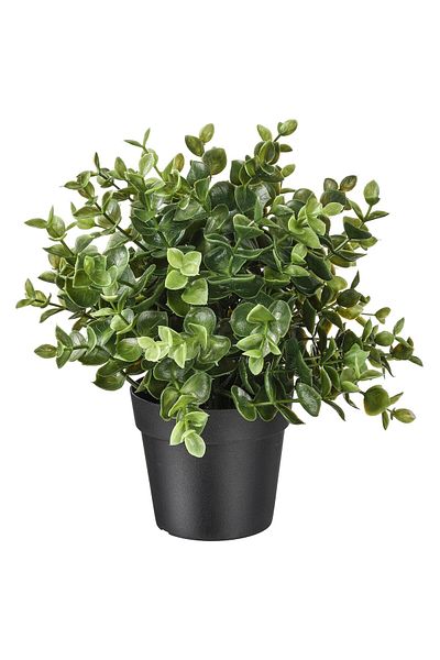 erorex Artificial potted plant, oregano, 9 cm