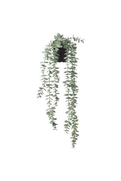 erorex Artificial potted plant, in/outdoor hanging/eucalyptus, 9 cm