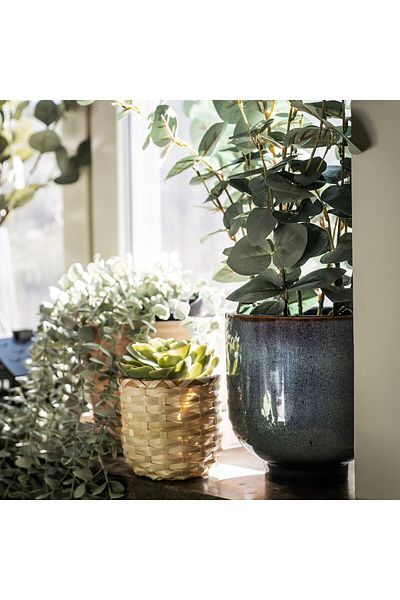 erorex Artificial potted plant, in/outdoor eucalyptus, 15 cm