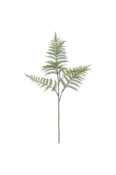 erorex Artificial spray, in/outdoor/fern, 63 cm