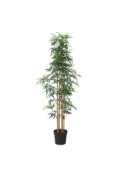 erorex Artificial potted plant, in/outdoor bamboo, 23 cm
