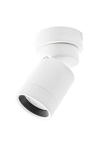 erorex Ceiling spotlight with 1 spot, white