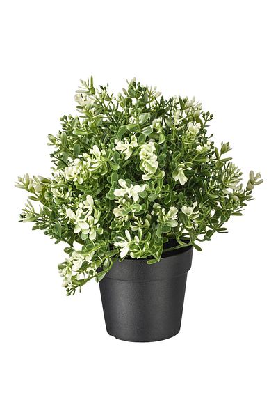erorex Artificial potted plant, thyme, 9 cm