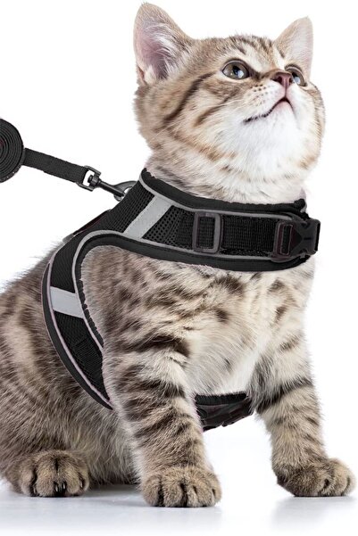 Pandogo Safe & Comfortable Cat Chest Collar Black - Escape Prevention & Adjus...