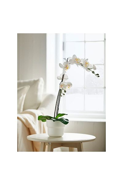 erorex Artificial potted plant, Orchid white, 12 cm