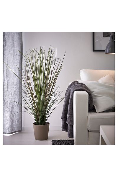 erorex Artificial potted plant, grass, 17 cm