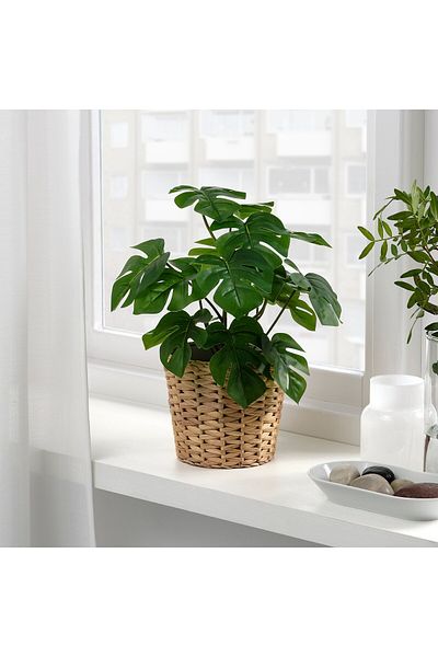 erorex Artificial potted plant, in/outdoor Monstera, 12 cm