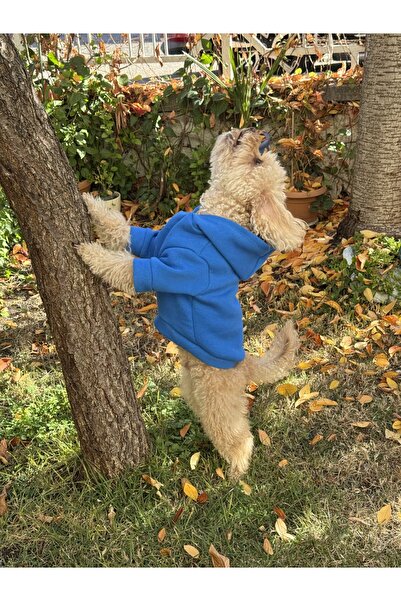 WoofTailor Woof Tailor Saks Mavi Hoodie