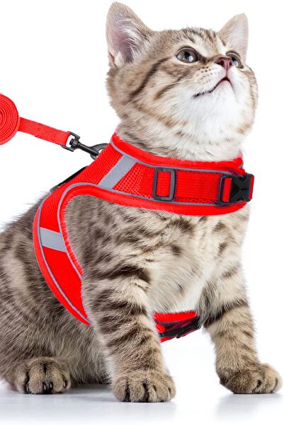 Pandogo Kedi Tasması Göğüs Gezdirme Tasması Uzun Sevk Kayışlı S Beden