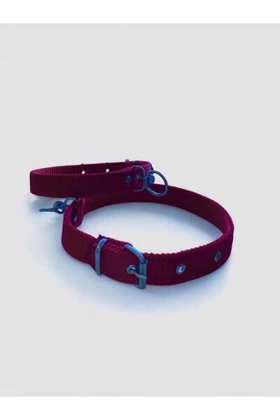 shop طوق كلب كبير الحجم