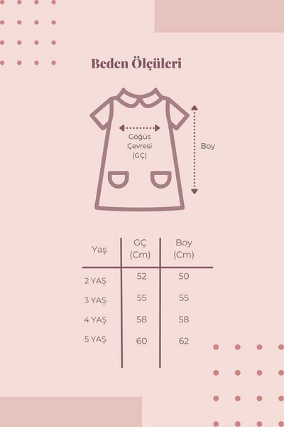 Tivido Short Flounce Sleeve Flower Embroidered Girl's Dress - Ecru Beige