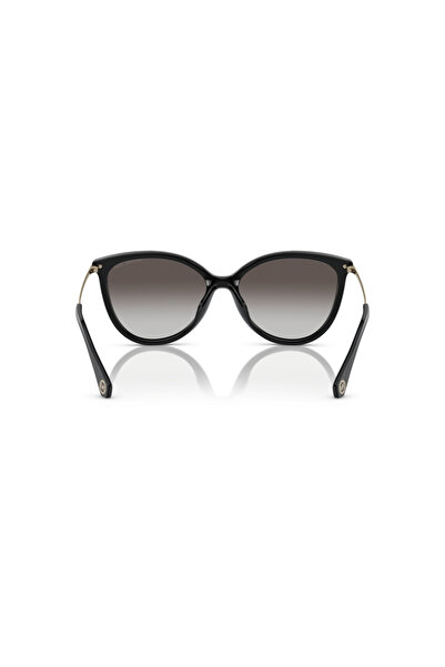 Michael Kors Woman Cat Eye Sunglasses- Mk 2184u - Lense Size:58mm - Black