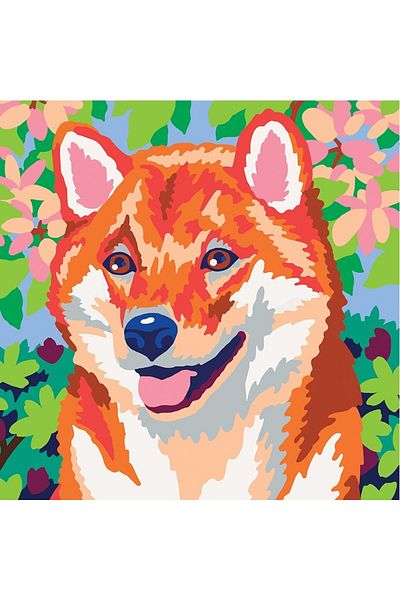 Sentosphere Creative paint by numbers kit - Colorizzy Red Panda and Shiba