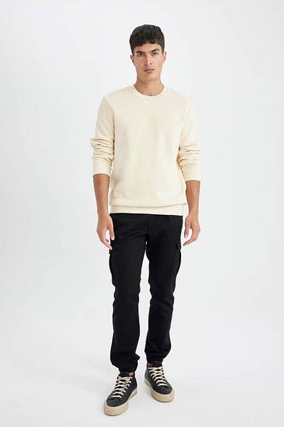 DeFacto Dickes, schlichtes Basic-Sweatshirt mit normaler Passform und Rundhalsausschnitt T3777az24au