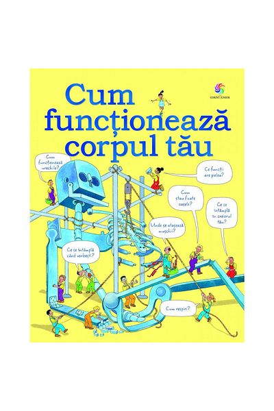 Corint How your body works