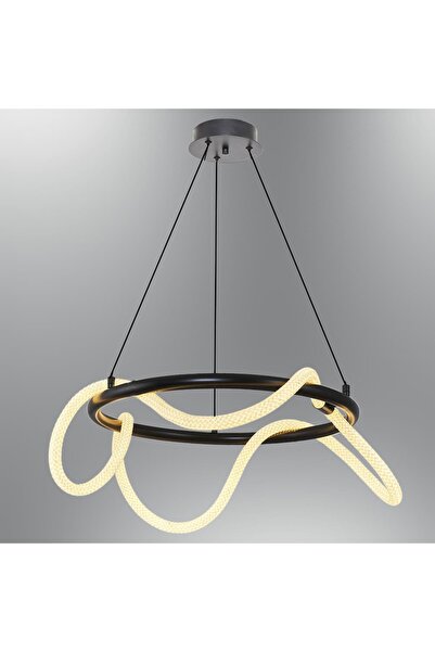 Özcan Aydınlatma 3240-2A-19 60cm Daire Hortum Avize Siyah