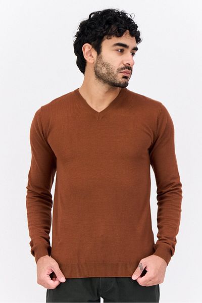 Sorbino Men V Neck Knitted Sweater, Choco Brown