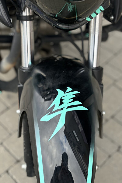 Banxtre ملصق هايابوسا بلون النعناع بخط ياباني مائل 12 سم × 11 سم (قطعة واحدة)