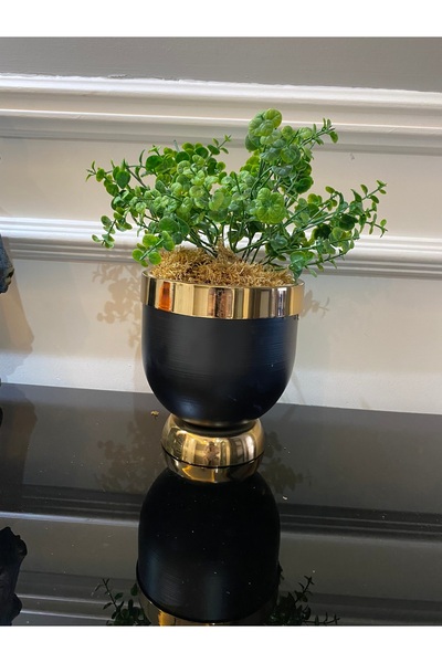 SZN DEKOR Siyah Gold Detaylı  Darbuka Saksı, Bitki  Aranjmanlı