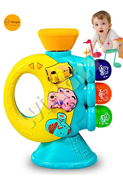 Wingzy Işıklı Ve Müzikli Bebek Piyanosu, Eğitici, Renkli, Sesli Oyuncak, Moto...