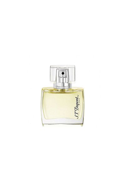 S.T. Dupont Special Edition Pour Homme Perfume by S.T. Dupont EDT 100 ml