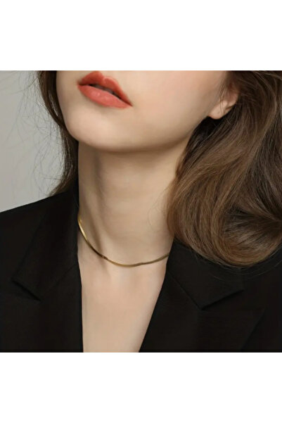 stainless steell Balık Sırtı Çelik Zincir Kolye