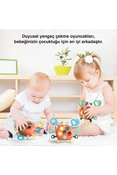 tutobaby Yengeç Şekilli Montessori Duyusal Gözlem Beceri Geliştirme Eğitici Oyuncağı