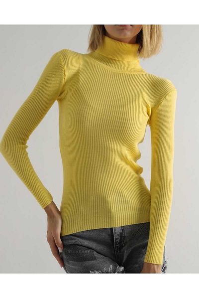 Threeco Turtleneck Ribbed Stretchy Knitwear Sweater