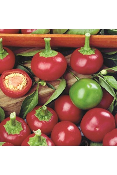 E-fidancim Geleneksel  Acı Hot Cherry Tatlı Kiraz Biber Tohumu (50 tohum)