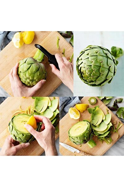 E-fidancim Ata Tohumları Geleneksek Yeşil Green Globe Enginar Tohumu(10 Tohum)