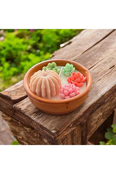 Kaktüs Şekilli Sukulent Kokulu Mum %100 soya wax