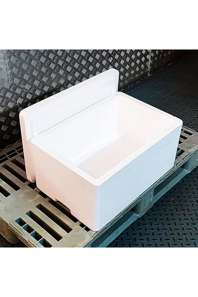 Winds Trading Ice Box Thermocol With Lid for Frozen Food & Beverage, 25KG Capacity Cooler Box