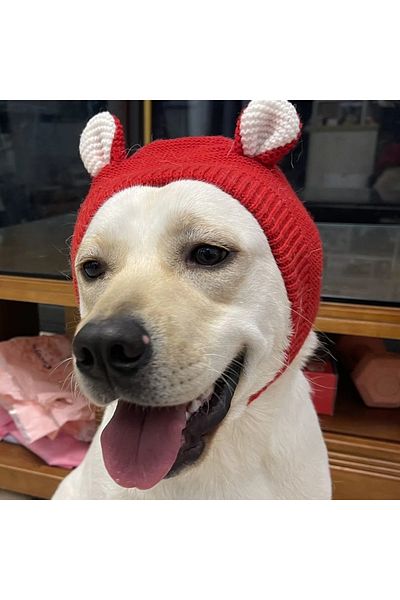 Choice red Dog Ear Muffs Noise Protection Pet Ears Covers Knitted Hat Winter Warm Earmuffs For Small Medium