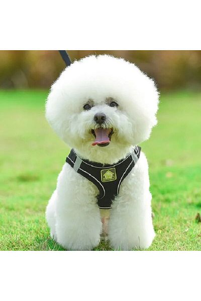 Choice S Black Reflective Pet Harness And Leash Set For Dog & Cat, No Pull Dog Vest Harness With Breathable